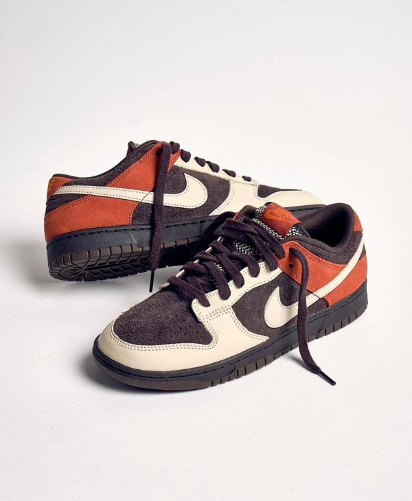 IMG_20240722_134208_082 Nike Dunk Low Red Panda Sneakers