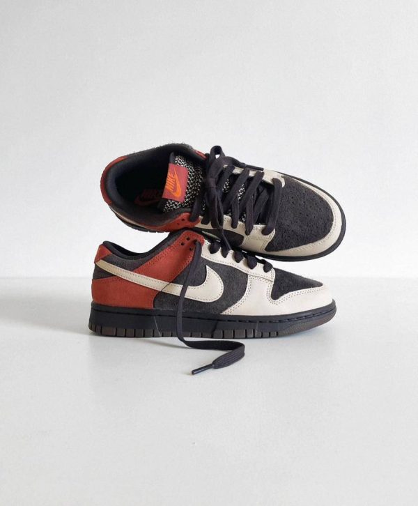 IMG_20240722_134208_529 Nike Dunk Low Red Panda Sneakers