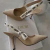 Quality Dior Luxury Heel