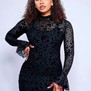 Velora Mesh Dress