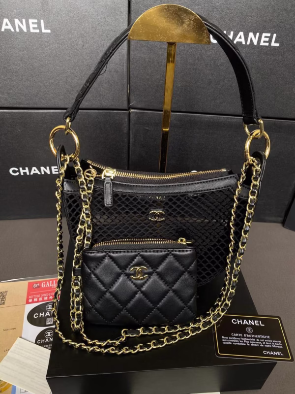 IMG_20250924_193050_737 Luxe Mesh Purse