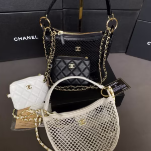 IMG_20250924_193051_404 Luxe Mesh Purse