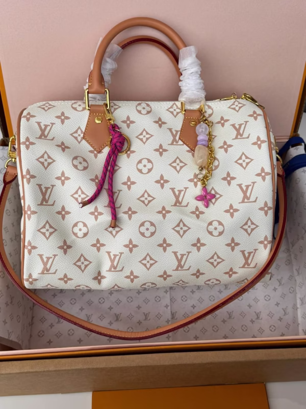 LV Monogram Speedy Bag