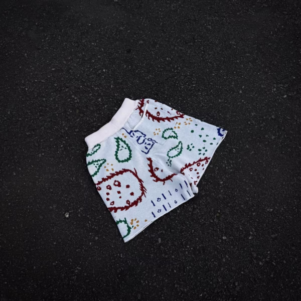 IMG_20251107_123305_893 Rhude Knit Bandana Shorts