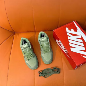 Nike SB Skate Sneakers