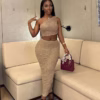 Glittery Pleated skirt set