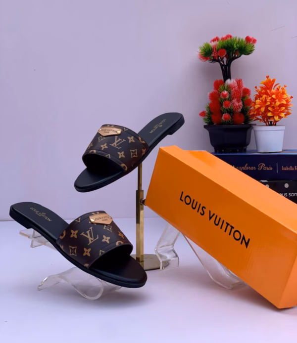 IMG_2076 Louis Vuitton Slide Slippers