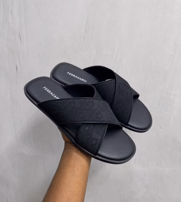 0BB0A08C-35D4-4DB2-ABD0-97AA54E211B6 Luxury Ferragamo Slides